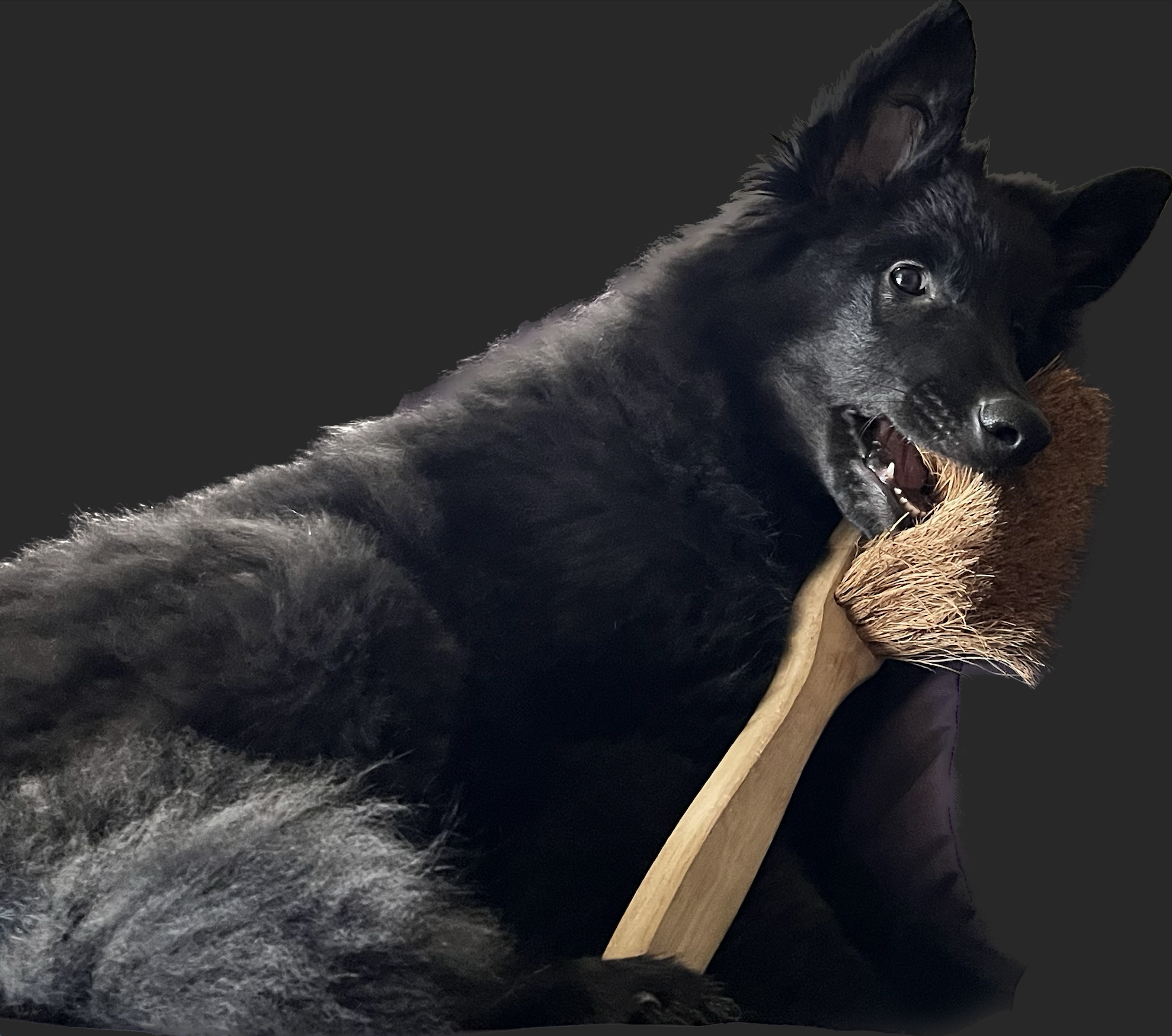 Loki, Facility Manager in Ausbildung